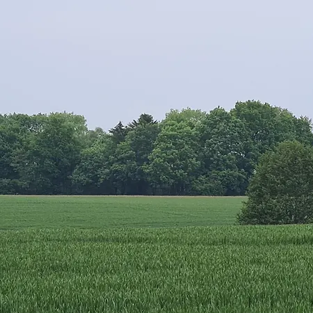 Ostseeglueck